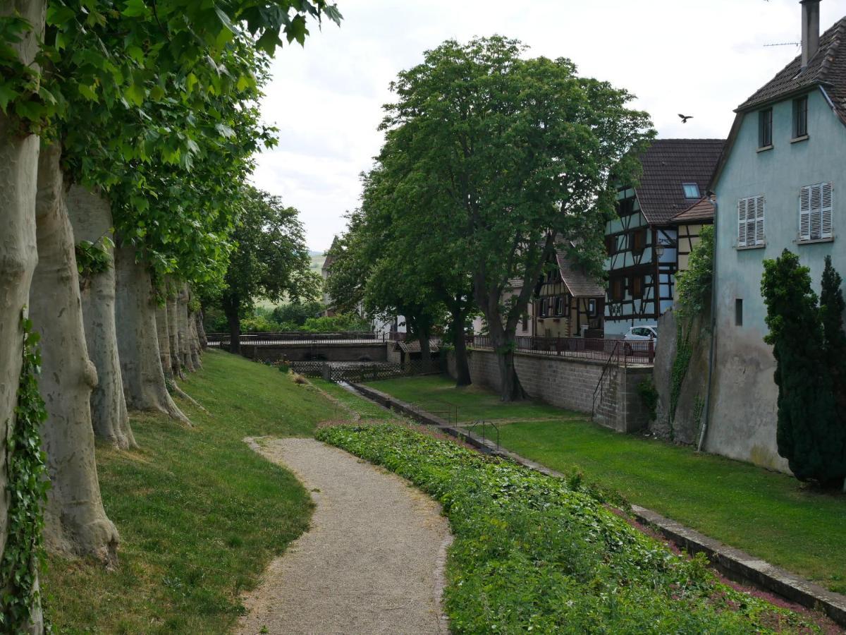 La Cour St-Fulrad - Les Suites Saint-Hippolyte  Eksteriør bilde